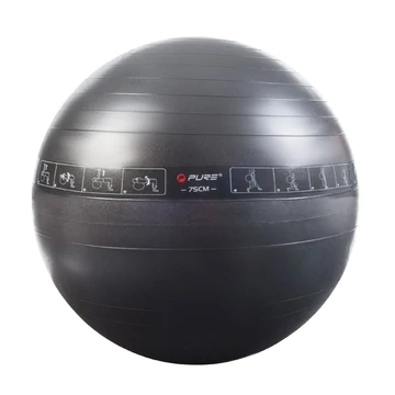 Pure2Improve Fitneszlabda