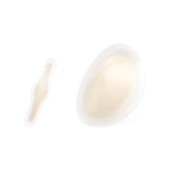 SELECT Blister Plaster Csomag