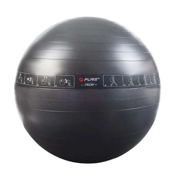 PURE 2 IMPROVE Fitneszlabda 65 CM fekete