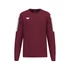 Kép 1/3 - ERIMA INTRO Pulóver bordó