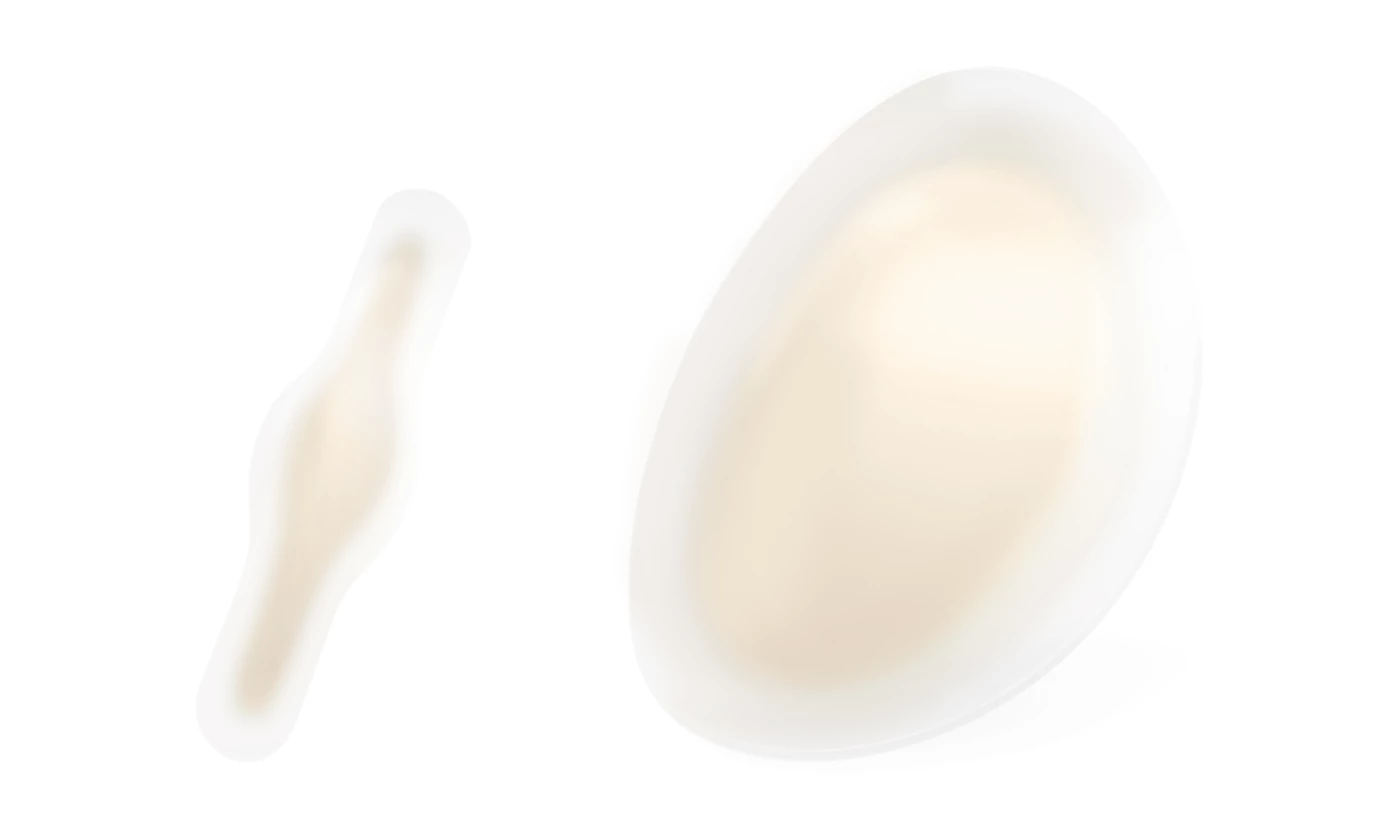 SELECT Blister Plaster Csomag